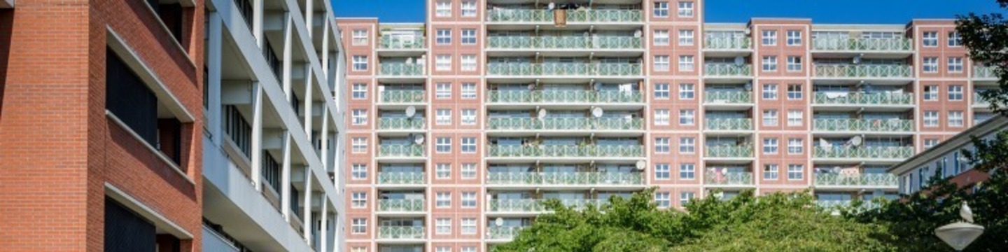 Afbeelding complex De Lamel